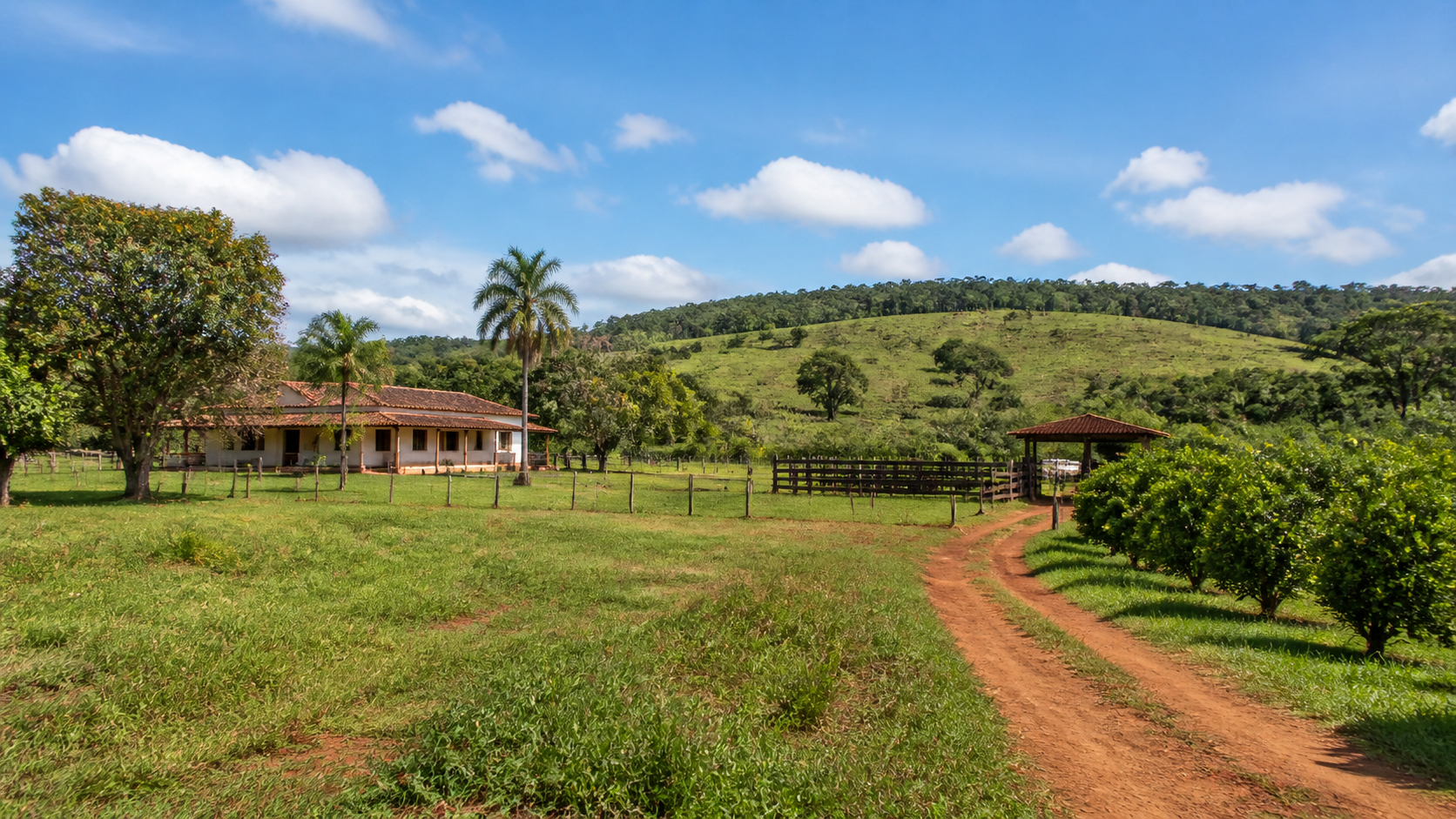 Imagem ilustrativa de imóvel rural - Sítio produtivo com 42 hectares para arrendamento em Santo Antônio do Leverger